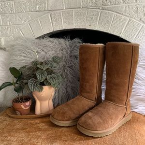 Tall Chestnut Uggs
